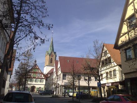 Renningen Figurë
