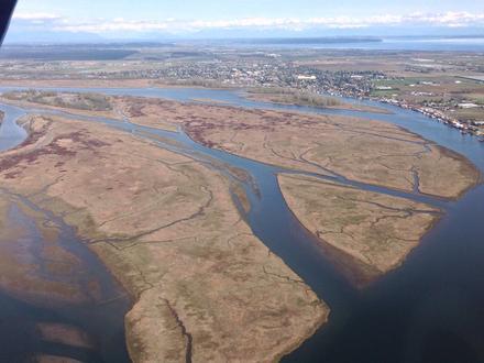 Ladner Image