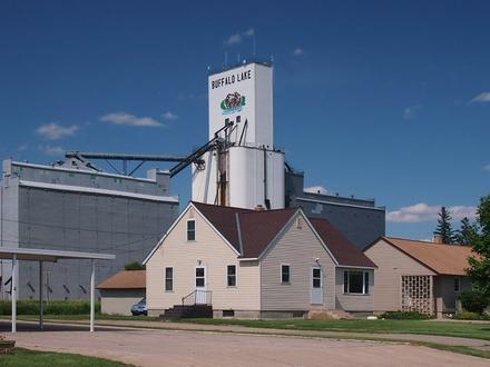 Buffalo Lake Image