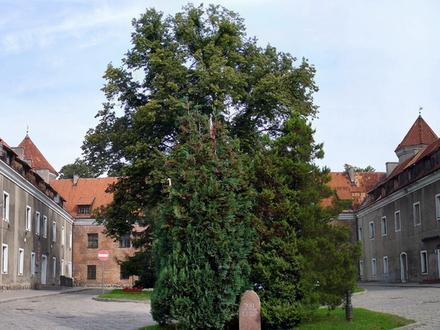 Pasłęk Image