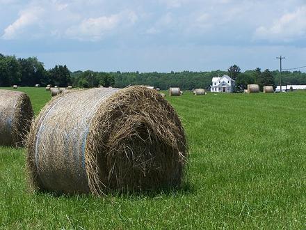 Somerville, Virginia Image