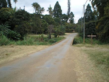 Gambar Canala