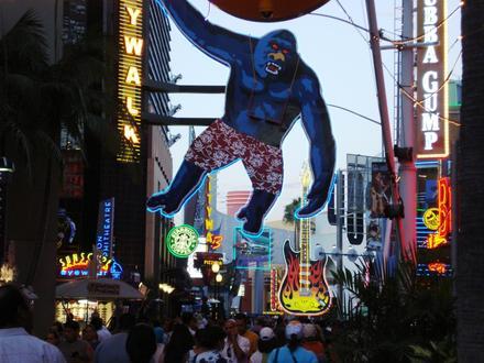 Universal City Image