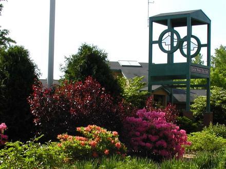 Circle Pines Image