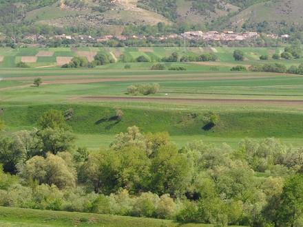 Hoghiz Image