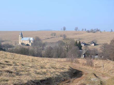 Lesica Image
