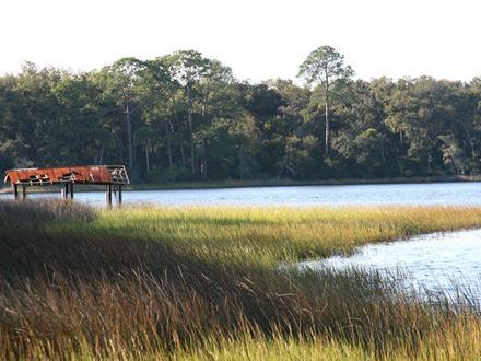 Palm Coast Image