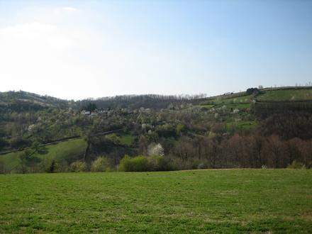 Tupanci Image