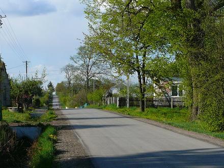 Boiska Image