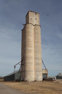 O'Donnell Image
