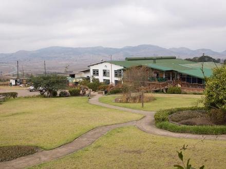 Ngwenya Image