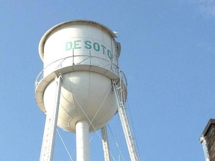 De Soto Image