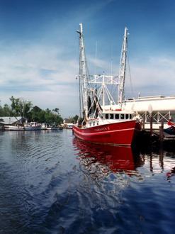 Bayou La Batre Image