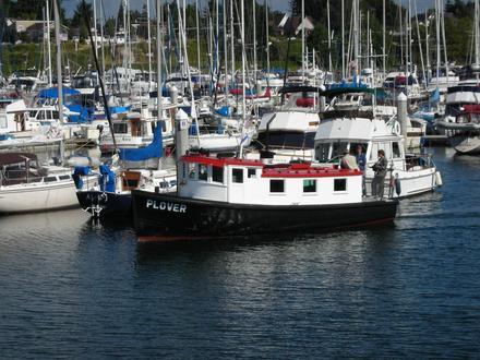 Blaine (Washington) Image