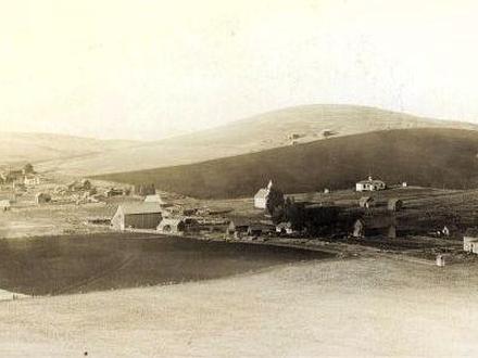 Boyd Image