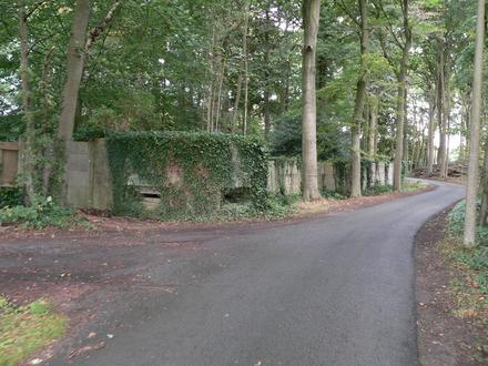 Zedelgem Image