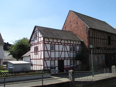 Miehlen Image