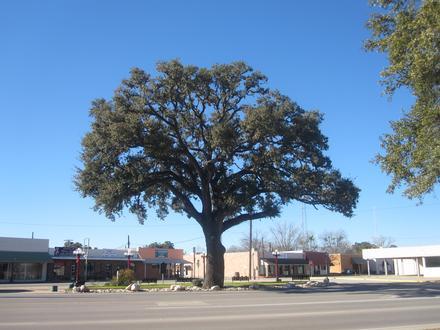 Pleasanton (Teksas) Image