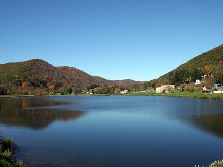 Galeton Image