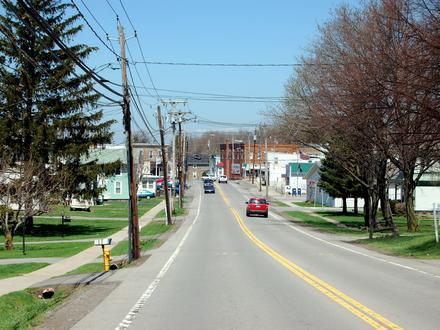 Williamson Image