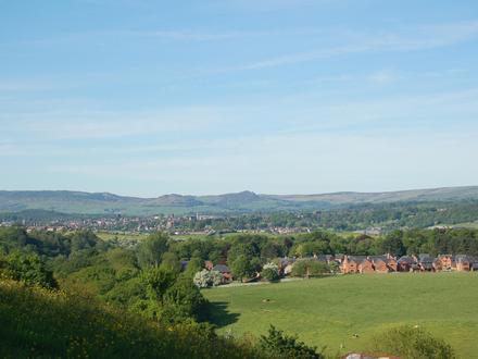 Leek Image
