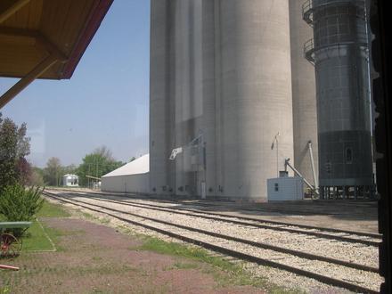 Dows Image