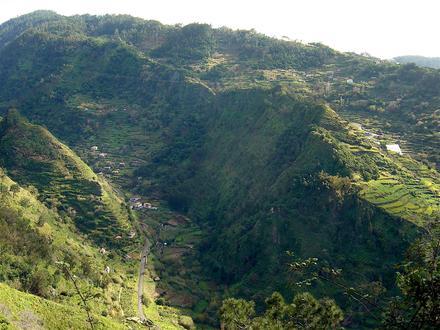 Bild von Ribeira Brava (Madeira)