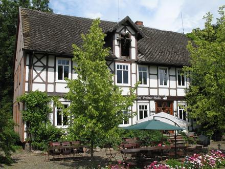 Schnega Image