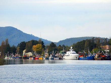 Valdivia Image