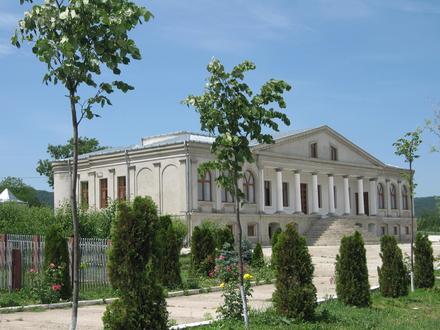 Voineşti Image