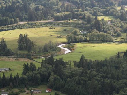 Naselle Image