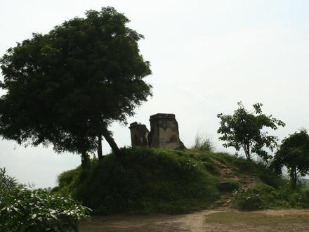 Kampil Image