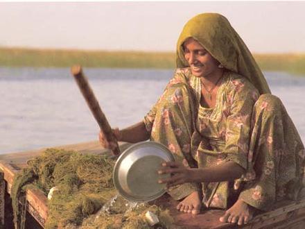 Tando Allahyar Image