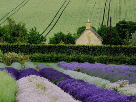 Image de Snowshill