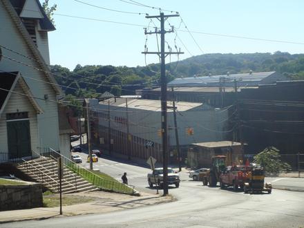 Ansonia Image