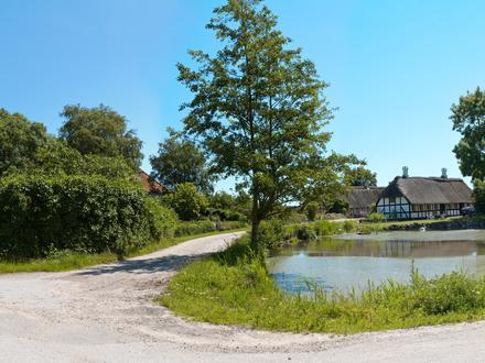 Lyø Image