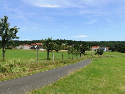 Bad Soden-Salmünster Image