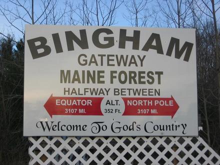 Bingham Image
