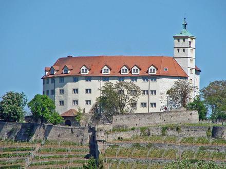 Vaihingen an der Enz Image