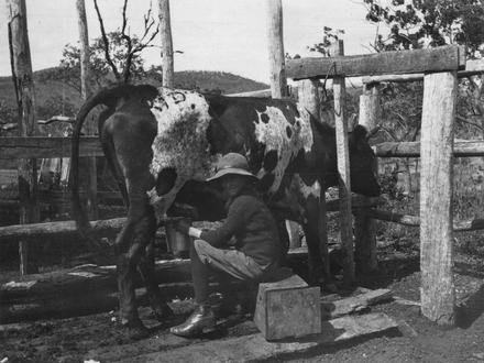 Raglan Image