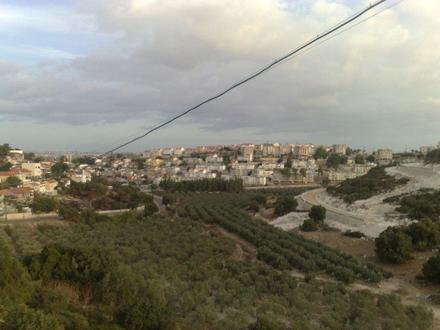 Rekhasim Image