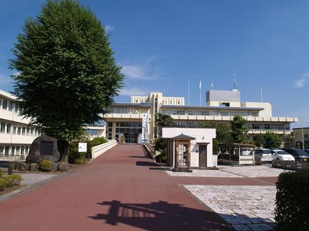 Nikkō Gambar