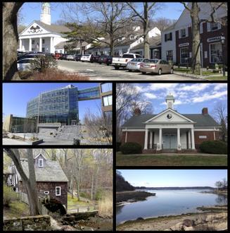 Stony Brook Image