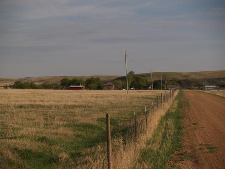 Schafer Image