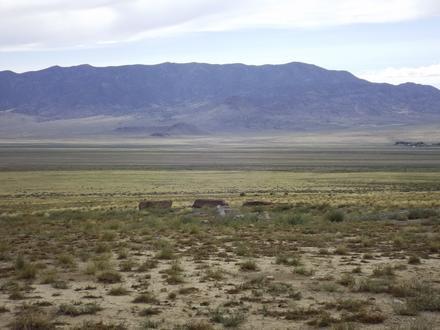 Newhouse Image
