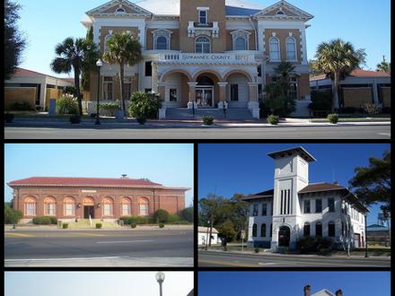 Live Oak Image