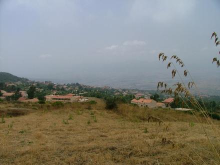 Arhribs Image