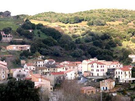 Alata Image