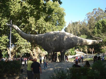 Concepción (Chile) Image