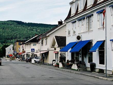 Jevnaker Image